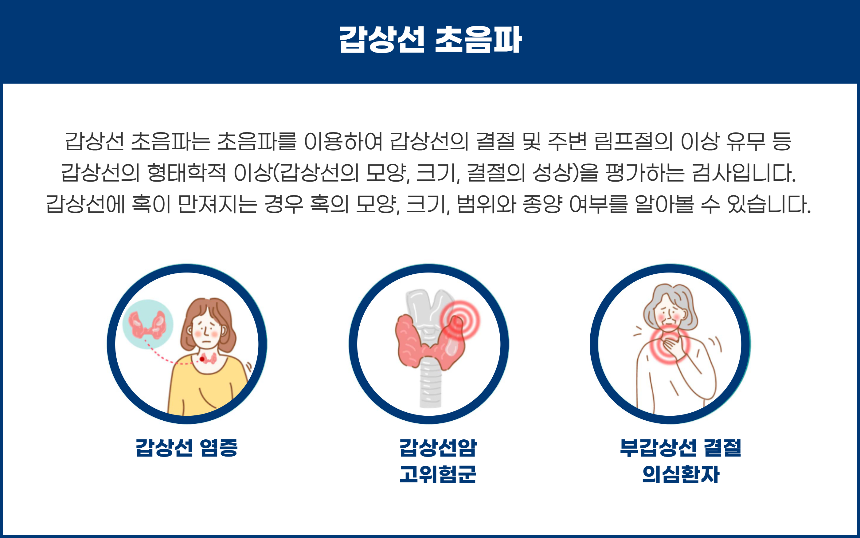 갑상선.png